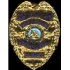 LAS CRUCES, NEW MEXICO POLICE DETECTIVE BADGE PIN